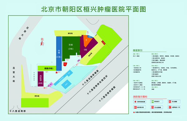 大鸡鸡插大逼逼免费视频北京市朝阳区桓兴肿瘤医院平面图